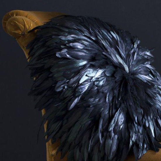 Surprise element: a feather pillow